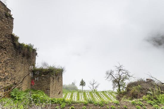 去阿坝探秘云朵上的民族,一位羌族大爷为我唱了一首听不懂的歌