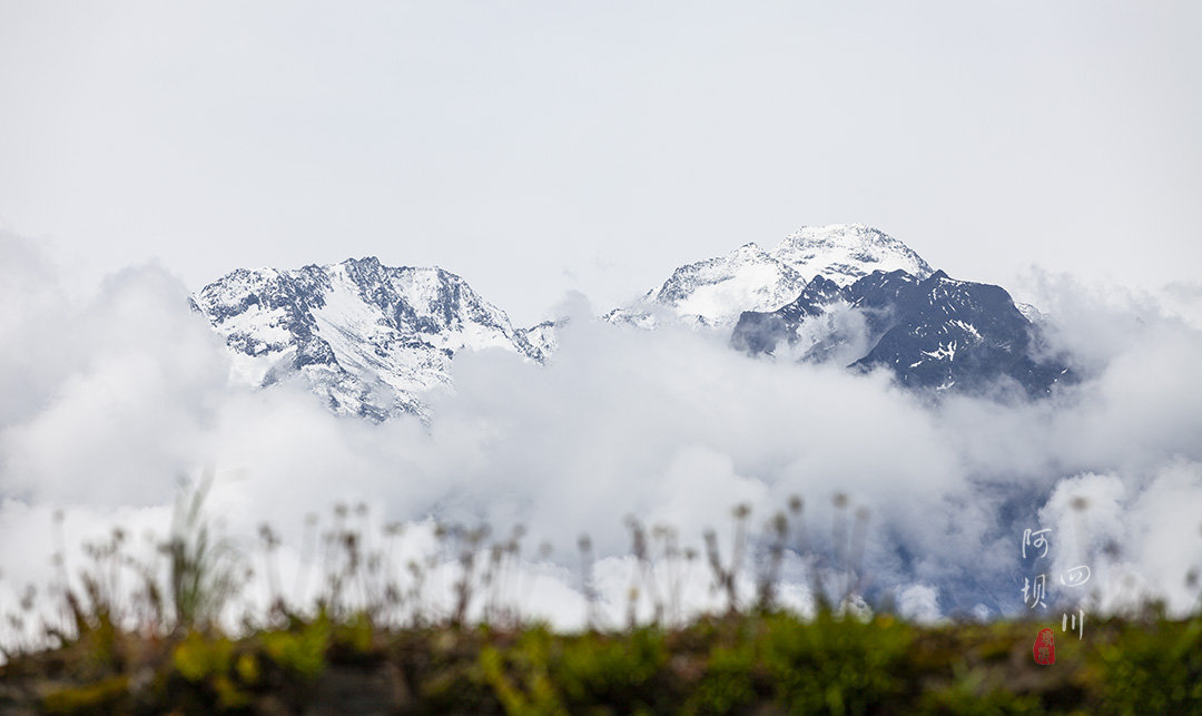 去阿坝探秘云朵上的民族,一位羌族大爷为我唱了一首听不懂的歌