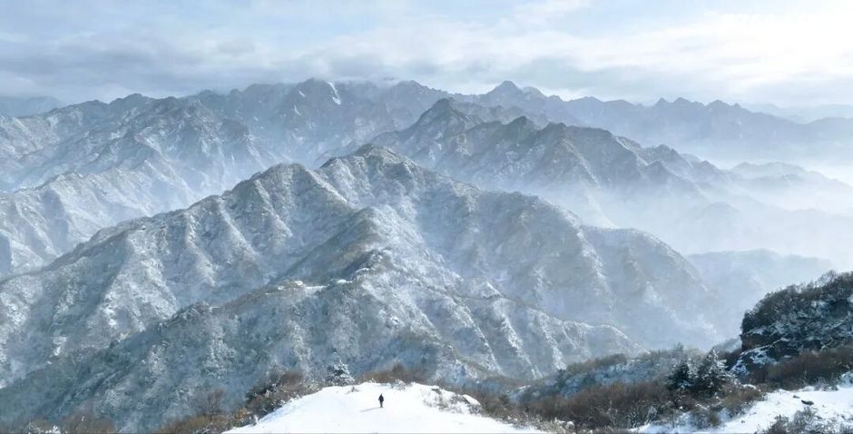 又是鳌太！为何悲剧年年重复？2026血色开年留下的六条保命铁律